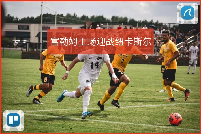 富勒姆主场迎战纽卡斯尔
