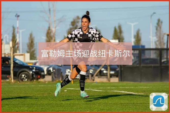 富勒姆主场迎战纽卡斯尔